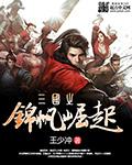 三国之锦旗战八方txt