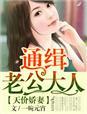 天价老公独宠妻免费阅读