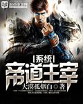 帝道至尊9个