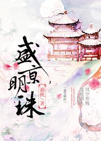 盛京明珠卫瑜和王铁之王锦之目录