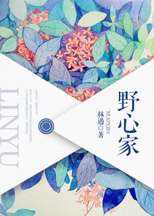 野心家进入无限世界