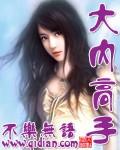 晚清大内高手