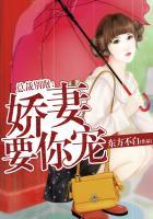 总裁娇妻别撒娇