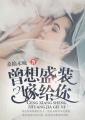 曾想盛装嫁给你百度百科