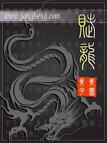 赋龙吟龙吟酒 浓香型白酒52度500ml*6瓶 BB