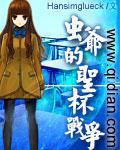 fate圣杯战争在线观看