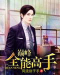 全能高手叶枫