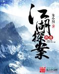 江湖奇案29
