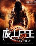 废土之王攻略