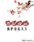 贵妃的旨意叫什么