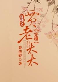 穿越红楼之贾老太太TXT