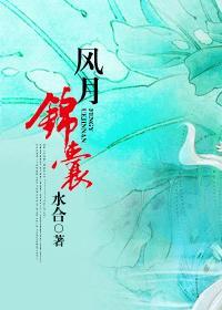 风月锦囊众人结局