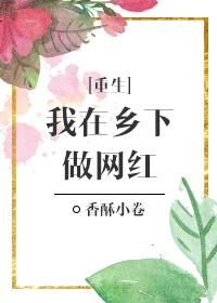 我在乡下直播