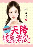天降萌妻爷请别撩免费