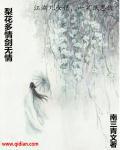 梨花情歌词曲