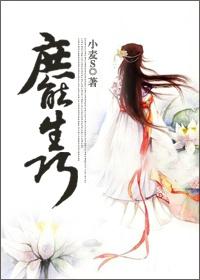 庶乎可行是什么意思